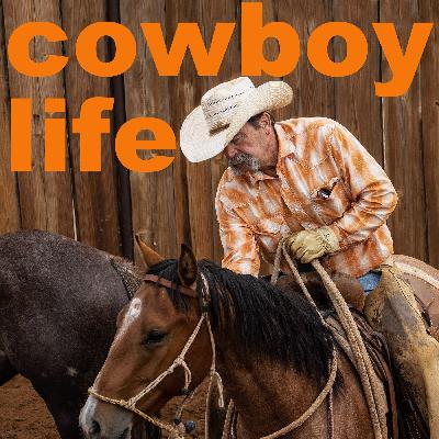 Jeff Williams has been starting colts for big ranches for four decades. Some of those outfits have included the Beggs, Haythorn, King, Muleshoe and Spades.