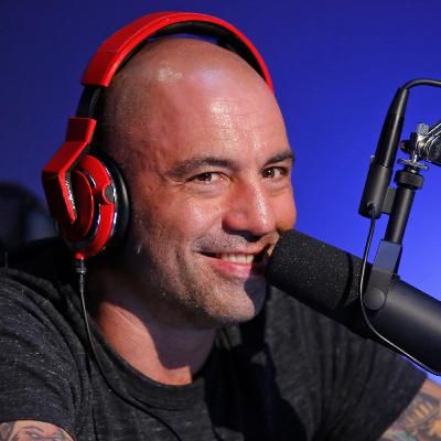 Why Did They Try to Roast Joe Rogan?