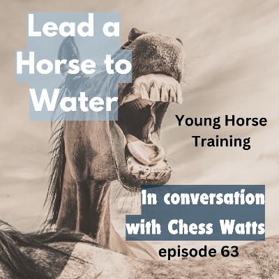 Young horse training, in conversation with Chess Watts