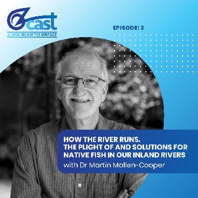 How the river runs. The plight of and solutions for native fish in our inland rivers with Dr Martin Mallen-Cooper How the river runs. The plight of and solutions for native fish in our inland rivers with Dr Martin Mallen-Cooper