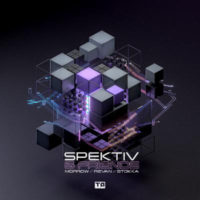 Spektiv & Stokka - Builder