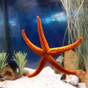 #006 Where’s your podcast?