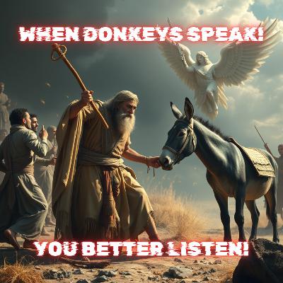 When Donkeys Speak! When Donkeys Speak!