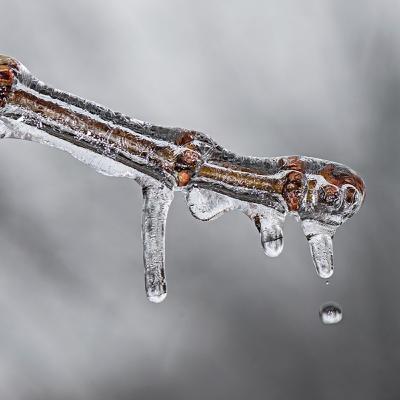 Memories Of The Ice Storm Of 1998