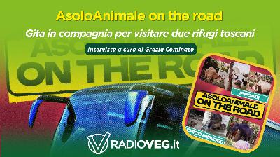 Asoloanimale on the road