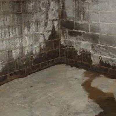 Ep #73 Let's Talk About Damp Basements