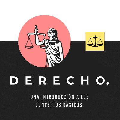 Derecho Penal / Utilidad y opinión de la clase