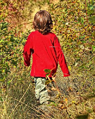 222 - Are You Raising Free-Range Kids? 222 - Are You Raising Free-Range Kids?