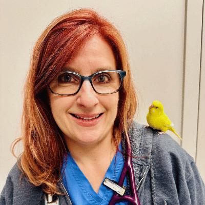 623: Helping Pet Birds Thrive with Dr. Jennifer Graham