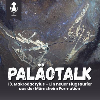 13. Makrodactylus – Ein neuer Flugsaurier aus der Mörnsheim Formation 13. Makrodactylus – Ein neuer Flugsaurier aus der Mörnsheim Formation