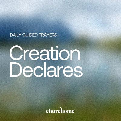 Creation Declares Creation Declares