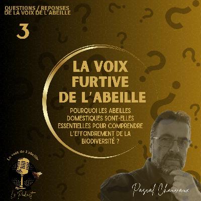 Pourquoi les abeilles domestiques sont-elles essentielles pour comprendre l’effondrement de la biodiversité ?