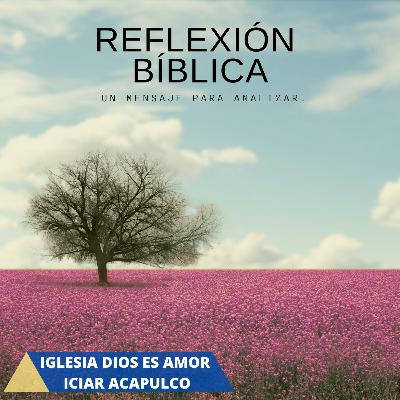 (Reflexión) El Brillo De Nuestra Luz (Reflexión) El Brillo De Nuestra Luz
