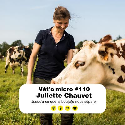REDIFFUSION Épisode #110 - Juliette Chauvet : Jusqu’à ce que la bou(s)e nous sépare REDIFFUSION Épisode #110 - Juliette Chauvet : Jusqu’à ce que la bou(s)e nous sépare
