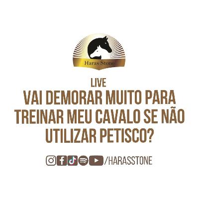 Vai demorar muito para treinar meu cavalo se não utilizar petisco? | Haras Stone #22