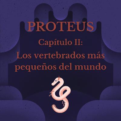 Los vertebrados más pequeños del mundo Los vertebrados más pequeños del mundo