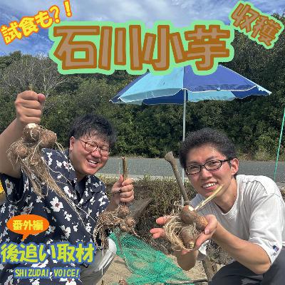 【後追い取材】番外編 貴重な生産話を聞けるのはここだけ！石川小芋をフカボリ！