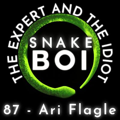 87 - Ari Flagle of Project Black Python - The Expert and The Idiot - A Reptile Podcast