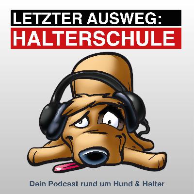 Das beste Hundefutter – Kaja von Tales & Tails im Interview – Das richtige Futter für den Hund
