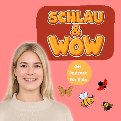 Wo waren die Insekten im Winter?