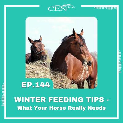 Ep. 144 | WINTER FEEDING TIPS - What Your Horse Really Needs