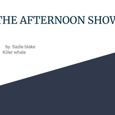 Should Killer Whales be Free?