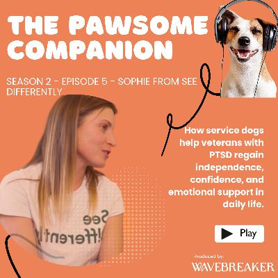 Healing Paws: How Service Dogs Support Veterans with PTSD