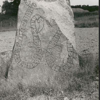 S8 Ep767:    Eleanor Barraclough offers a poignant look at the Norse settlement of Greenland, founded by Eric the Red in 985 AD. At the Herjolfsness graveyard, well-preserved organic material reveals the coarse, patched clothing of 15th-century inhabitants, indicat