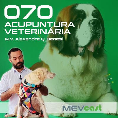 #070 Acupuntura na Veterinária #070 Acupuntura na Veterinária