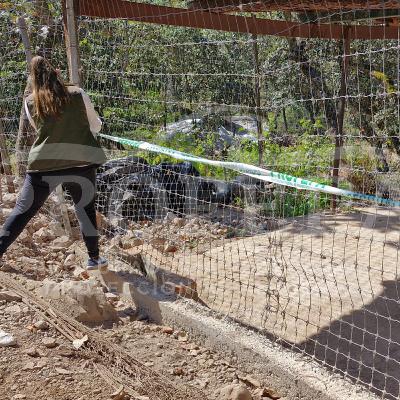 Rodrigo Estrella, experto en animales:  PROFEPA clausura el refugio animal Camino Real del Tigre en Jalisco