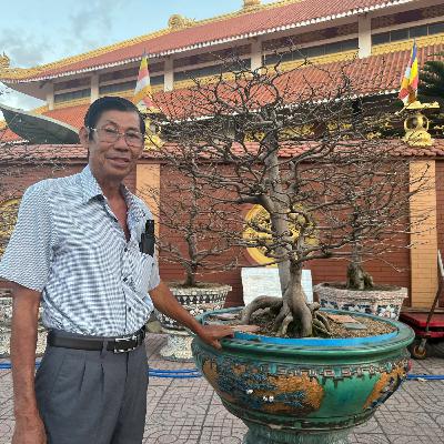 Sài Gòn sống và yêu: Mỗi mùa Tết về qua làng mai Thủ Đức Sài Gòn sống và yêu: Mỗi mùa Tết về qua làng mai Thủ Đức