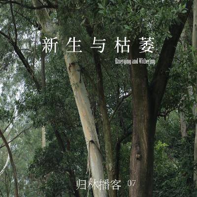 Vol.07｜拥抱新生，接纳枯萎，植物教会我们生命的真谛