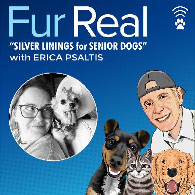 "SILVER LININGS for SENIOR DOGS" with Erica Psaltis