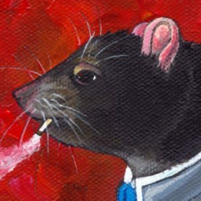 Por onde começar a investir? - Bizu do Ratão 16