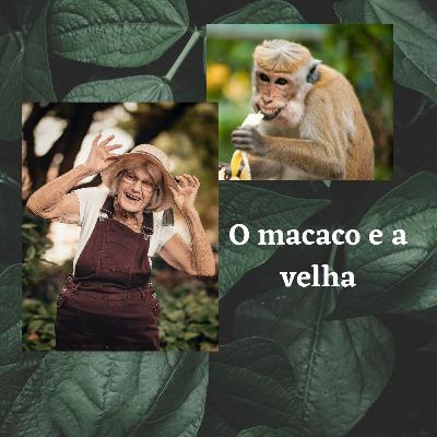 O macaco e a velha