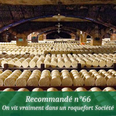 Recommandé n°66 - On vit vraiment dans un roquefort Société Recommandé n°66 - On vit vraiment dans un roquefort Société
