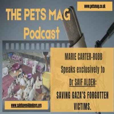 Episode 2: Dr Saif Alden On Caring For Gaza’s Animals In Crisis Episode 2: Dr Saif Alden On Caring For Gaza’s Animals In Crisis