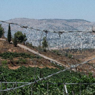 Crónica internacional - Israel intensifica sus ataques en Cisjordania, con un enorme impacto en la salud mental de sus habitantes