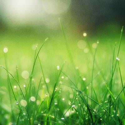 L'opera completa di Gesù parte1. Romani 1:1-7