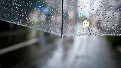 Weather Forecast