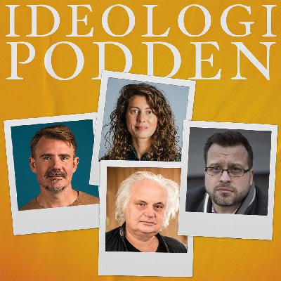 Hur lite invandring tål Sverige?