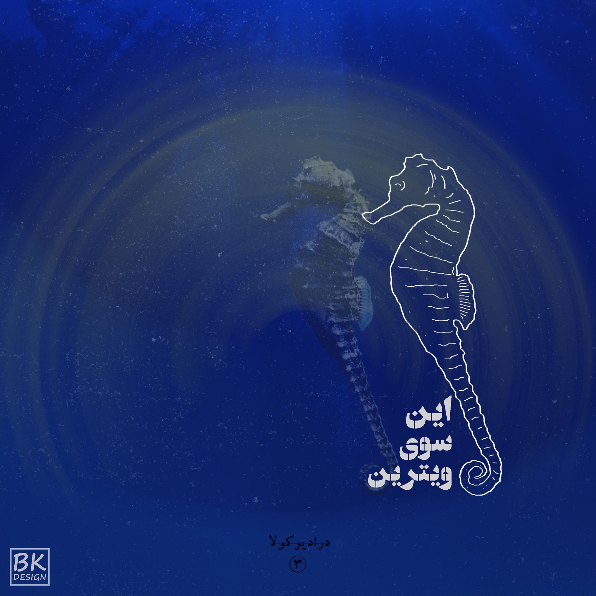 این سوی ویترین