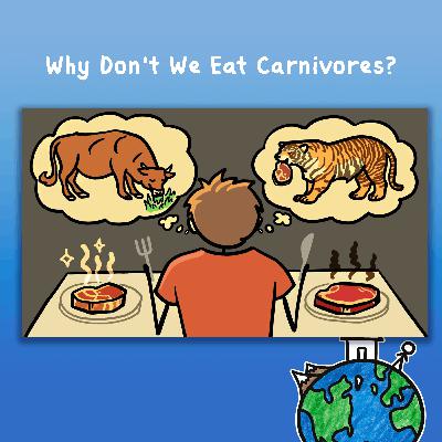 Why Don't We Eat Carnivores?