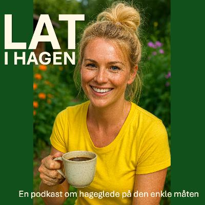 Lat i hagen i Oktober - Hva har du utsatt som du burde ta tak i?