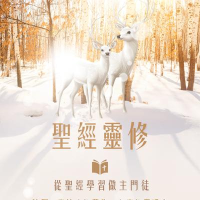 📌聖經靈修-啟示錄2章 主題:主基督巡察祂的教會—呼召悔改、堅守真理、活出聖潔與忍耐的愛 📌聖經靈修-啟示錄2章 主題:主基督巡察祂的教會—呼召悔改、堅守真理、活出聖潔與忍耐的愛