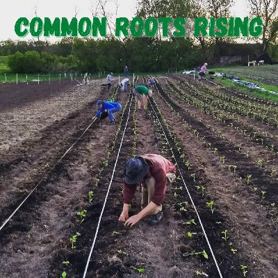Hillcrest Farm Factory - Common Roots Rising Episode 1