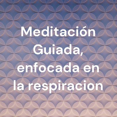 Guided Mindful Breathing Meditation focused on the breath