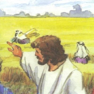 La cosecha es abundante, pero los trabajadores son pocos