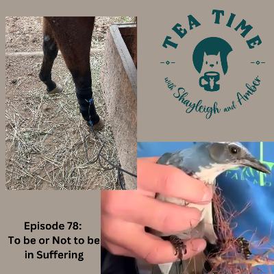 Episode 78: To Be Or Not To Be In Suffering