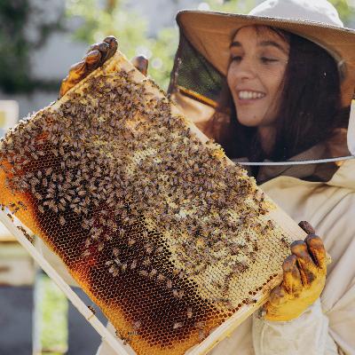 Wisconsin Honey Producers Continue Youth Investment